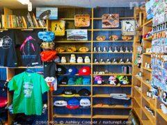 The Gift Nook store